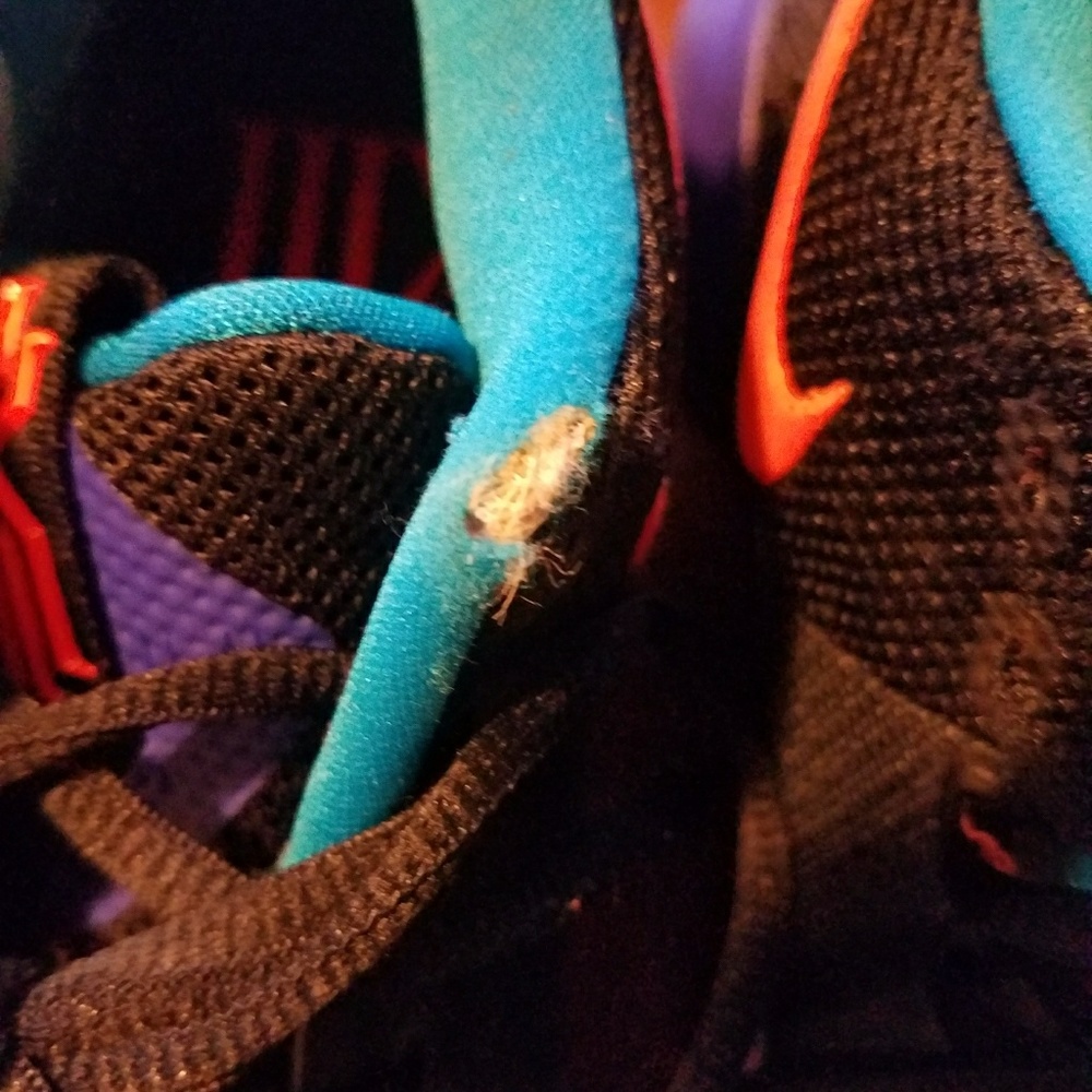 Shoes - Picture 5 of 5